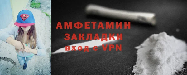 дживик Бородино