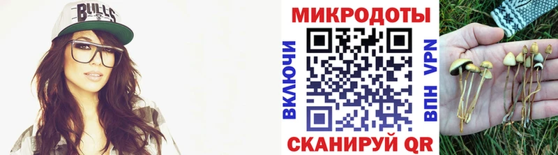 купить наркотик  ОМГ ОМГ ссылка  Галлюциногенные грибы ЛСД  Губаха 